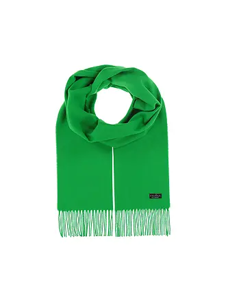 FRAAS | Nombre del producto: Bufanda
Marca: FRAAS
Color: petróleo
Categorías: Moda, Mujer

Material: Poliacrílico / Acrílico
Diseño: Unicolor
Estilo: Casual
Detalles: Flecos | grün